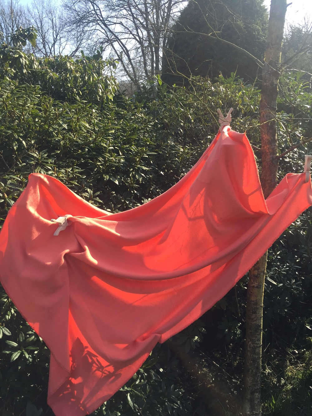Reuze speelknijper